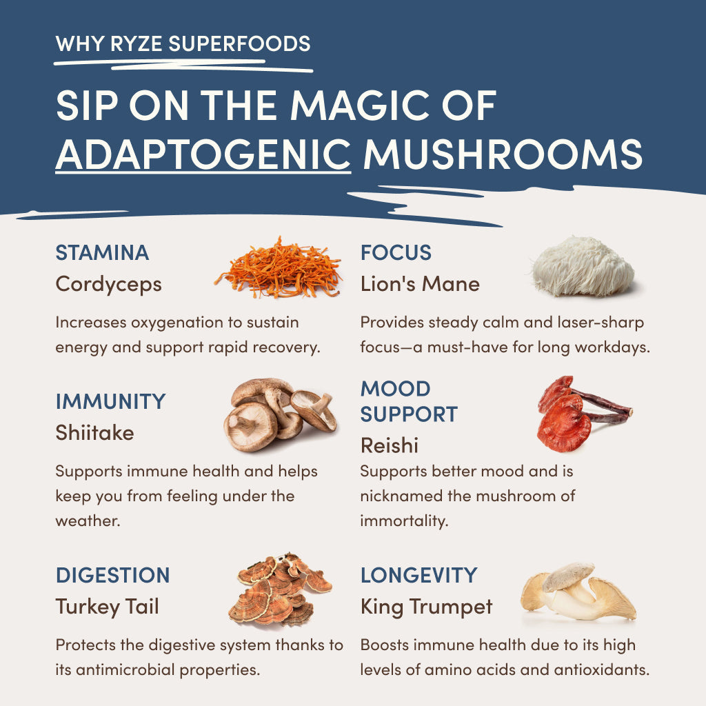 RYZE Nighttime Mushroom Cocoa Starter Bag S9