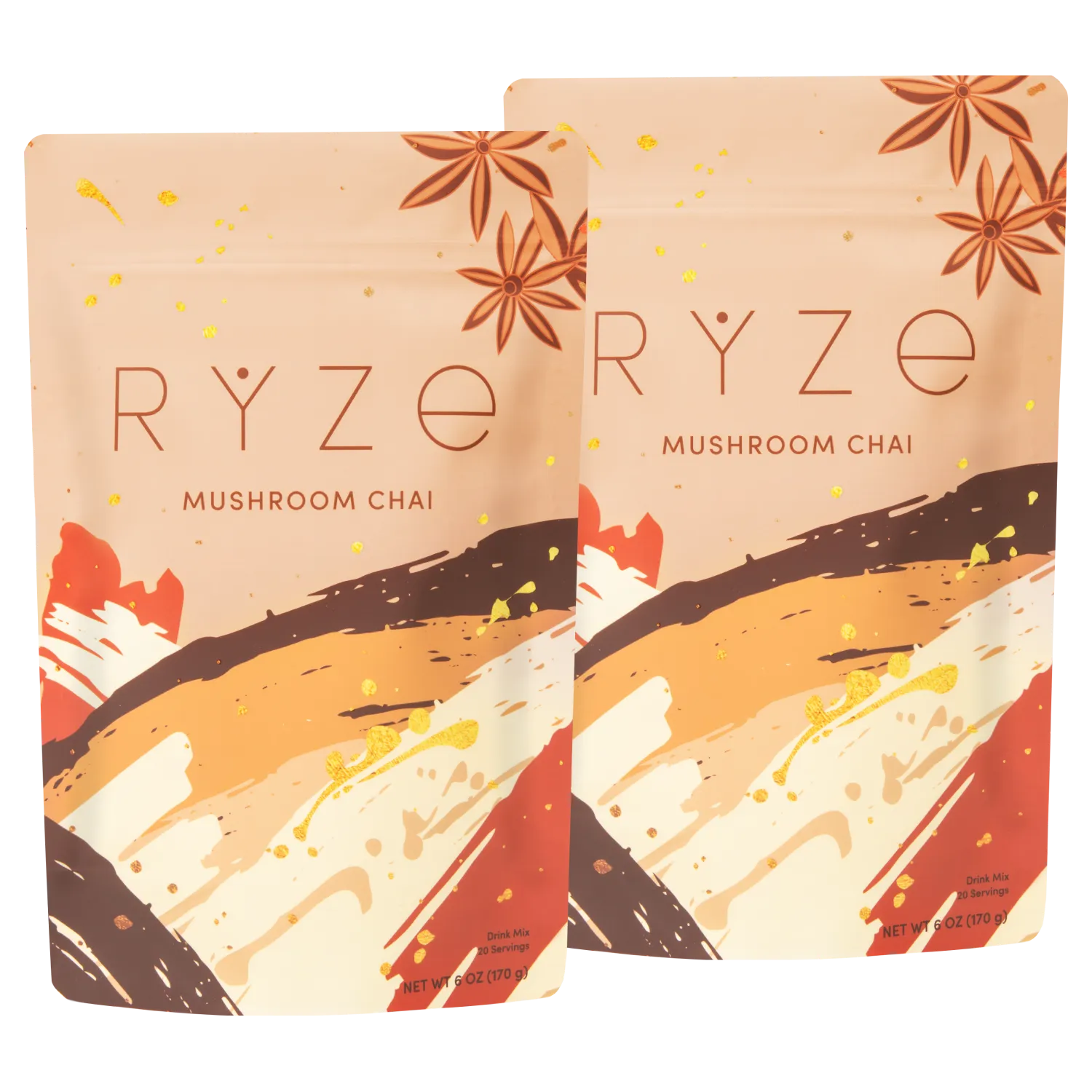 Mushroom Chai Starter Kit: 40 Servings P9