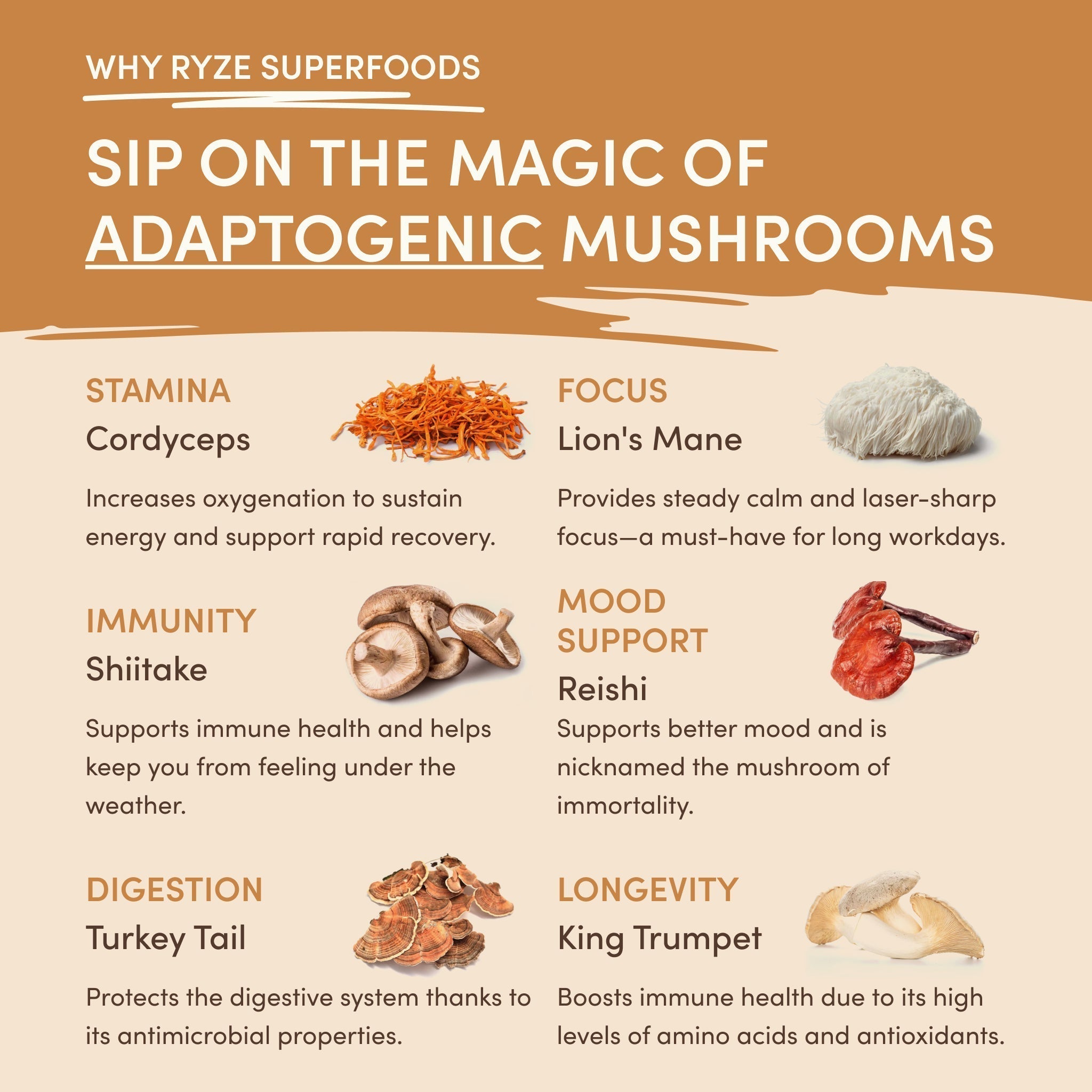 Mushroom Overnight Oats (14 Servings) Z5