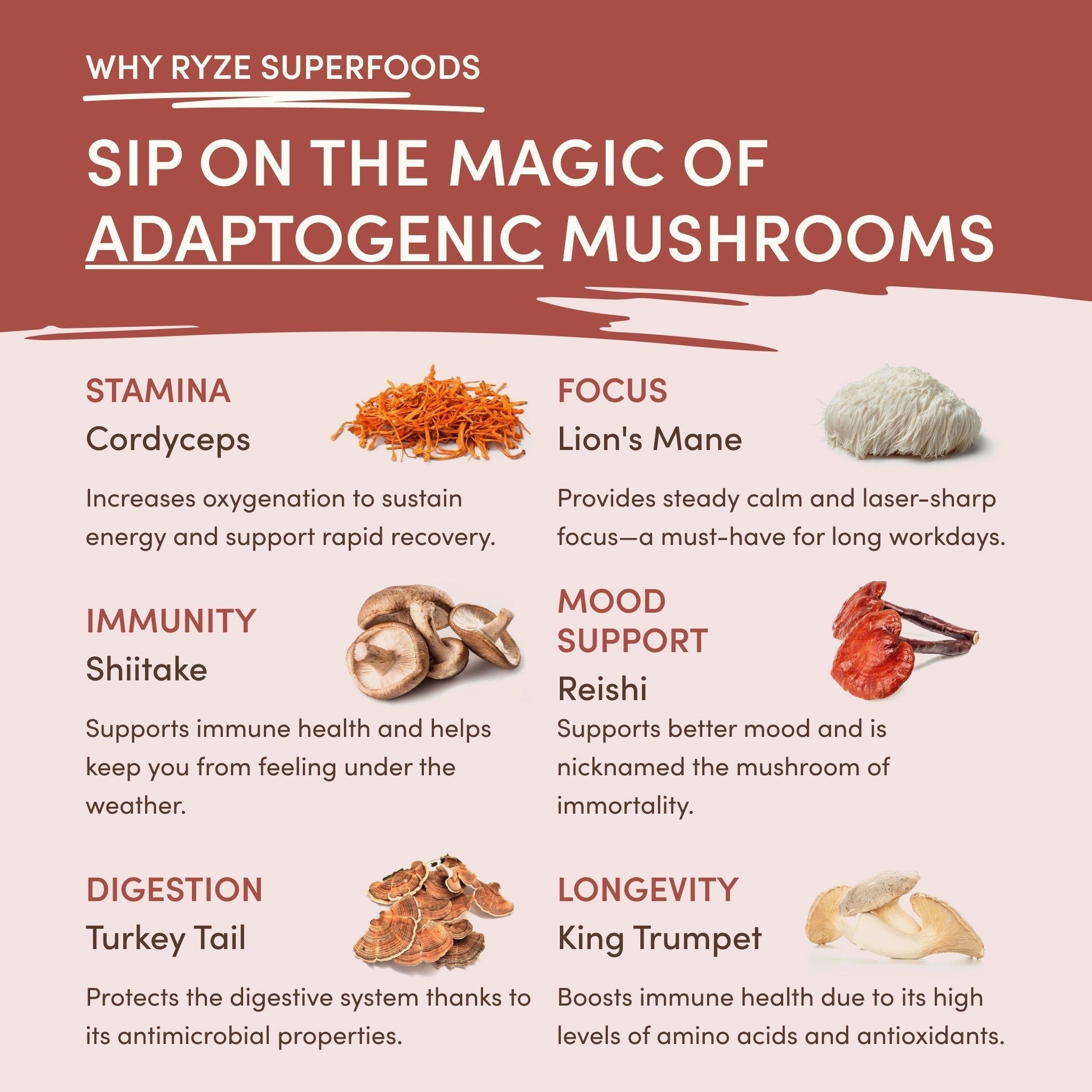RYZE Mushroom Chicory — Organic Instant Chicory with Shitake & Lions mane, 30 Servings O5