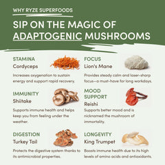 RYZE Mushroom Matcha — Organic Instant Matcha Latte with Lion's Mane & King Trumpet, 30 Servings B1