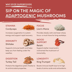 RYZE Mushroom Chai — Organic Instant Chai with Reishi & Organic Black Tea, 20 Servings Y7