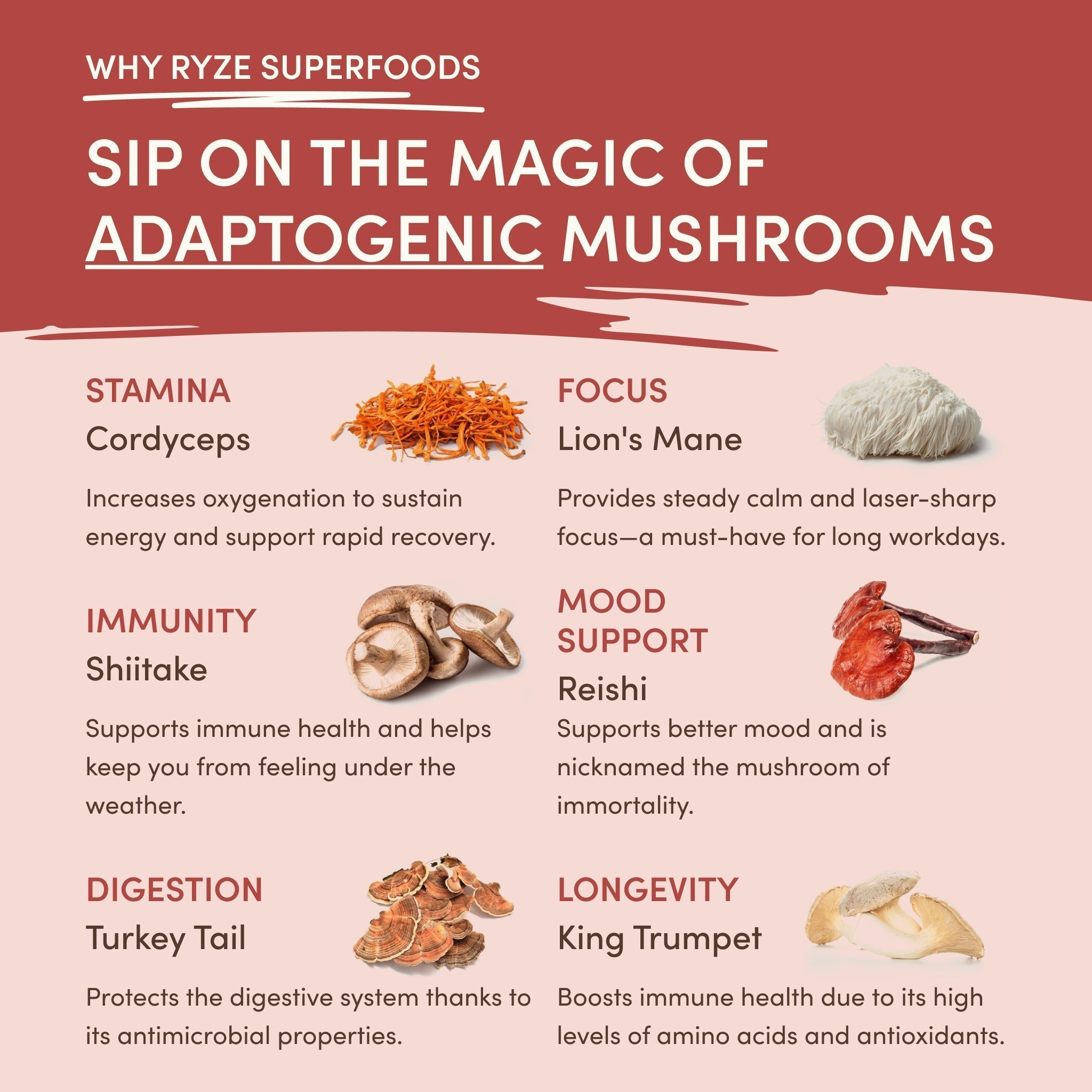 RYZE Mushroom Chai — Organic Instant Chai with Reishi & Organic Black Tea, 20 Servings Y7