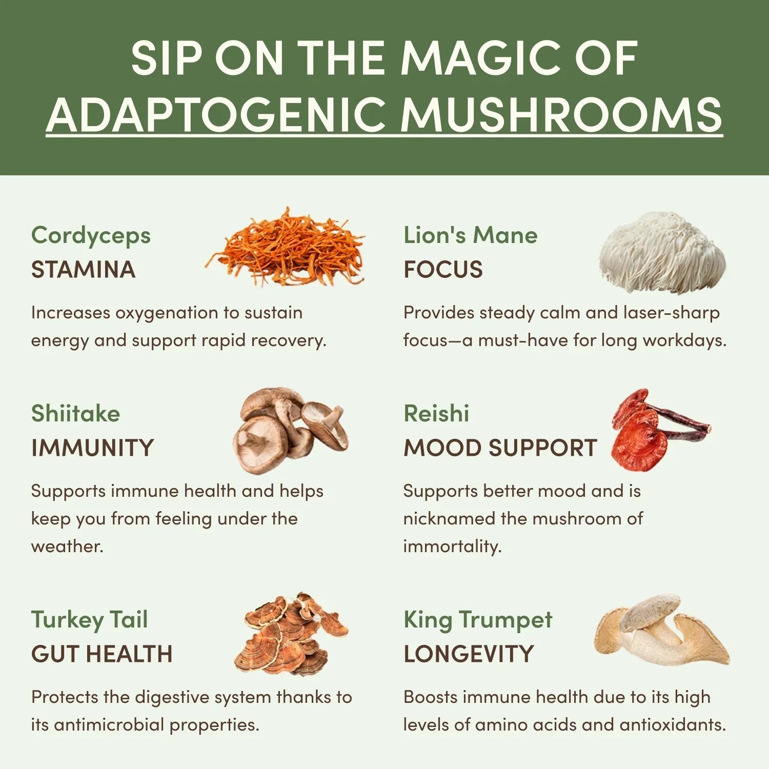 Mushroom Matcha Starter Kit (60 Servings) U1
