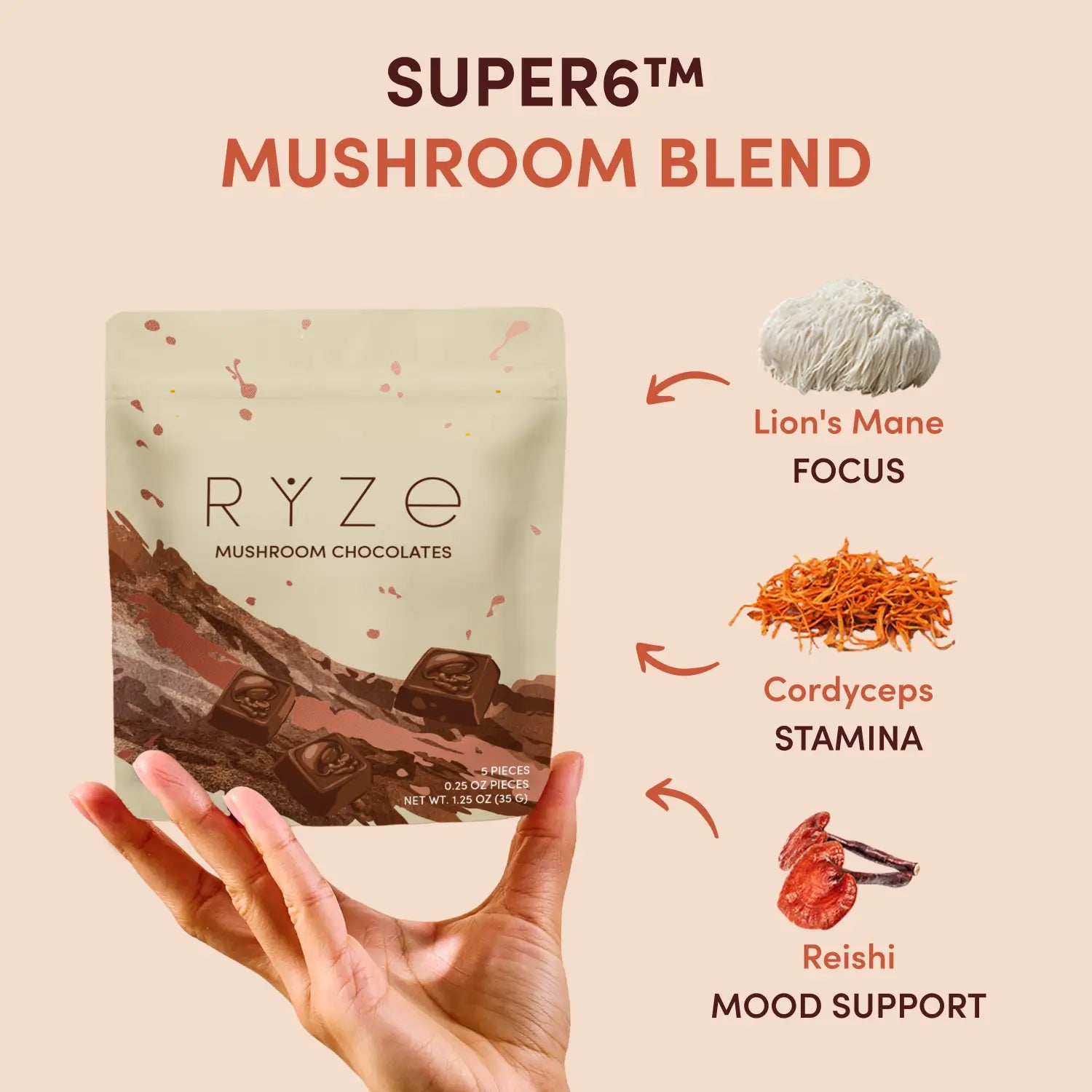 Mushroom Chocolates Rye (15 pieces) X4
