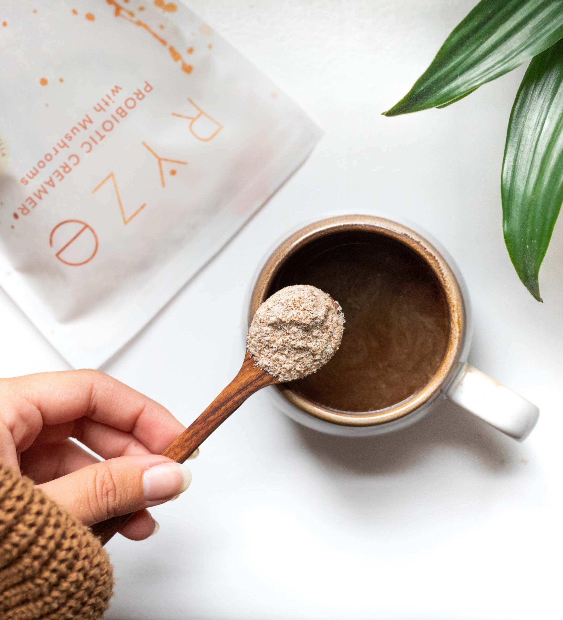 Probiotic Creamer (30 Servings) D4