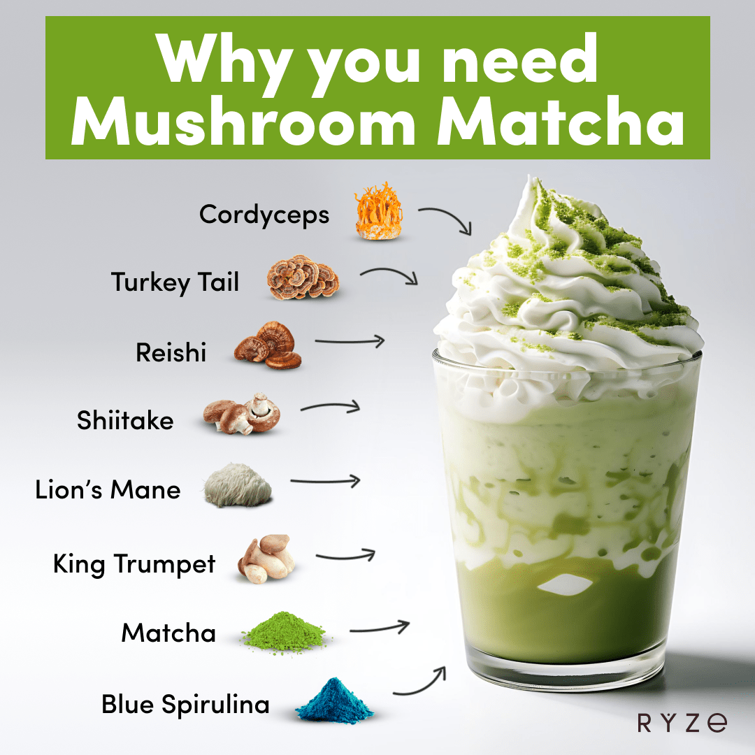 RYZE Mushroom Matcha - with 6 Organic Adaptogenic Mushrooms Grown In USA and Ceremonial-Grade Japanese Matcha W9